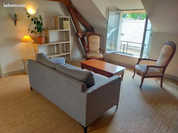 T2, meublé, 54m², centre historique