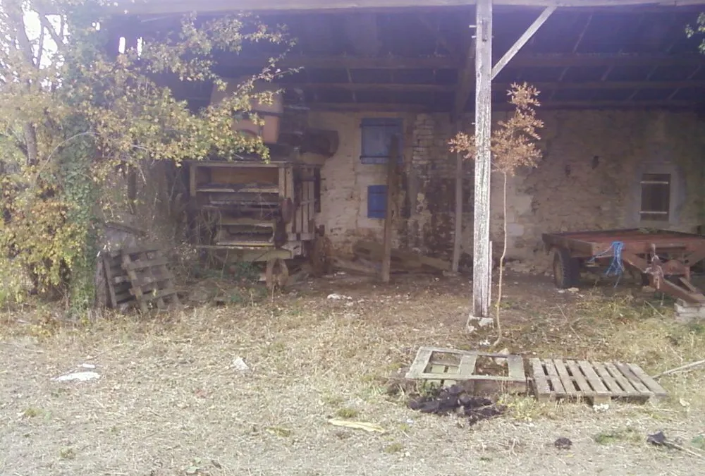 Photo 3