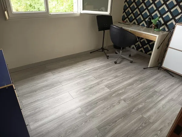 Recherche une colocataire, appartement 80m2