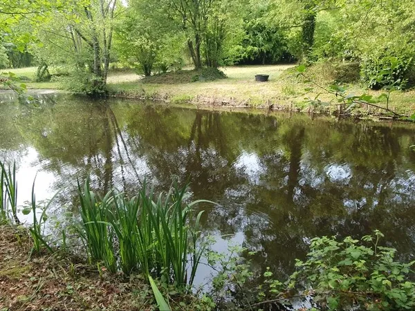 Terrain de Loisirs avec son petit étang