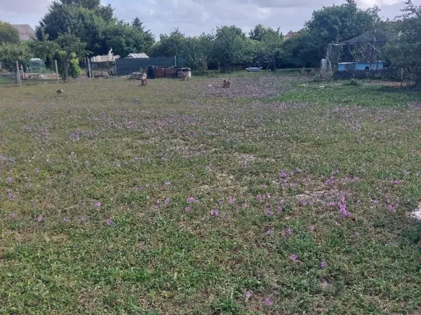 Terrain 1200 m²