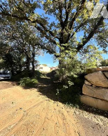 Terrain 733 m²