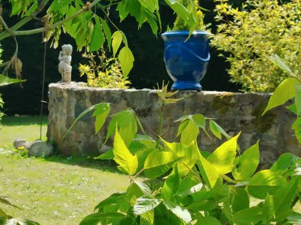 Je vous invite à lire cette annonce DÉCEPTION très détaillé loue T2 dans un écrin de verdure sécuris