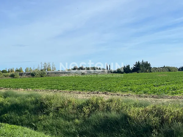 Torreilles - A VENDRE Terrain agricole avec serres (10508 m2)