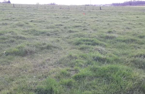 Baisse de Prix!! BEAU TERRAIN CONSTRUCTIBLE. Villers le sec 5125