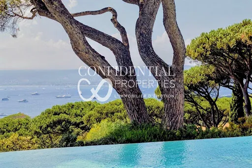 Villa 11 pièces 700 m²