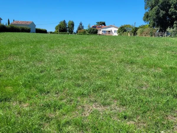 Terrain a vendre