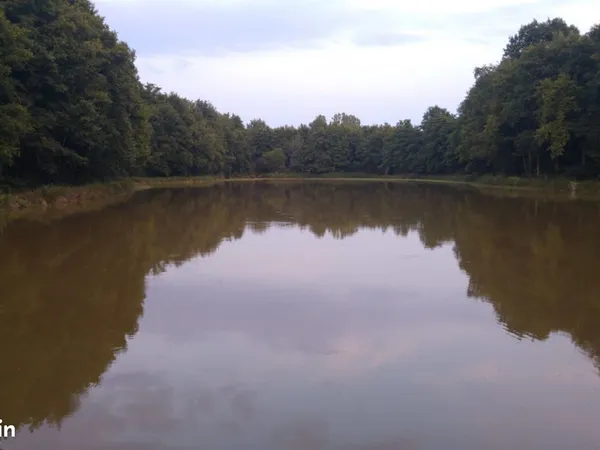 Etang 1,4ha