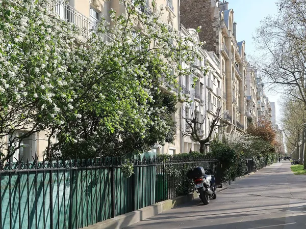 Vends appartement à refaire
