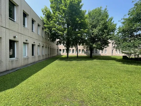 Local professionnel 303 m²