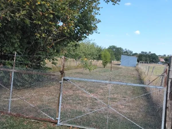 Hangar 36m2 sur 1100m2 terrain