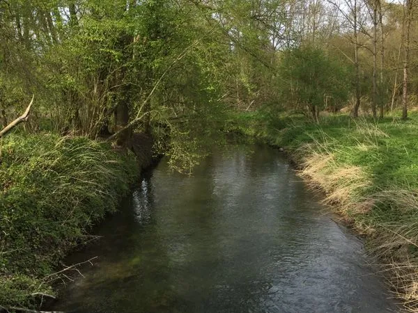 Magnifique terrain de loisir boisé et en bordure de rivière de 1088 m² en Seine-et-Marne à Château-L