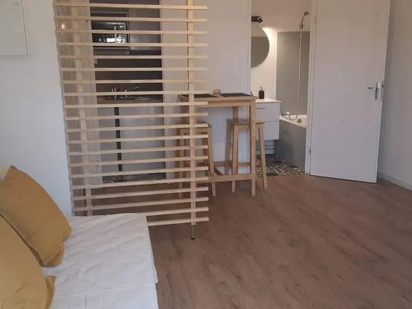 Studio 21 m2 à louer meublé Zenith