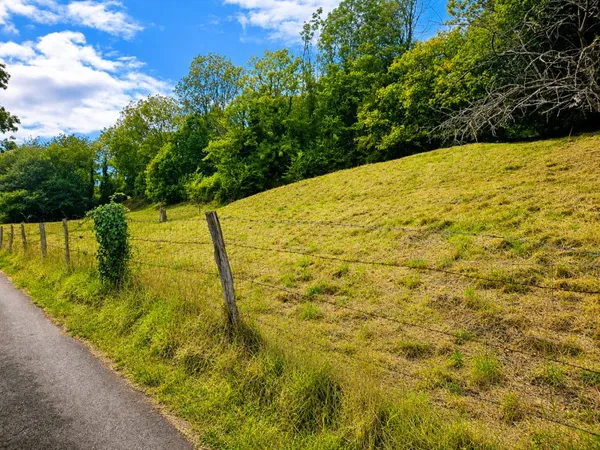 Terrain 4780 m²