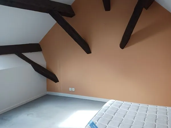 Beau DUPLEX sur le plateau d'Angouleme face à l'hotel de ville