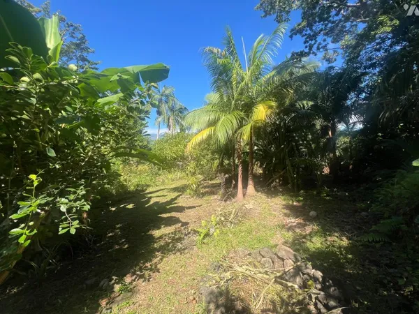Terrain 624 m²