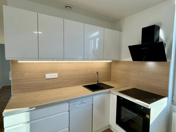 Villeurbanne- à vendre Appartement T2 rénové