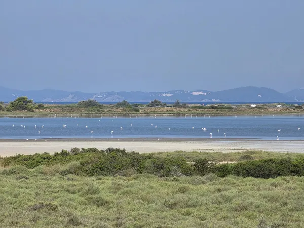HYÈRES – VILLA 164 M² – VUE PANORAMIQUE SUR LES FLAMANTS ROSES DES MARAIS DES PESQUIERS NATURA 2000 