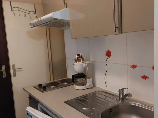 Appartement meublé rénové à neuf à louer