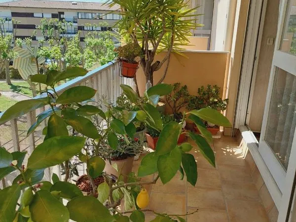 Appartement • 87 m2 • 4 pièces • 30000 Nîmes • Quartier les 7 collines