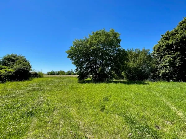 Terrain 1954 m²