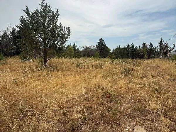 Terrain 696 m² Ferrals-les-Corbières