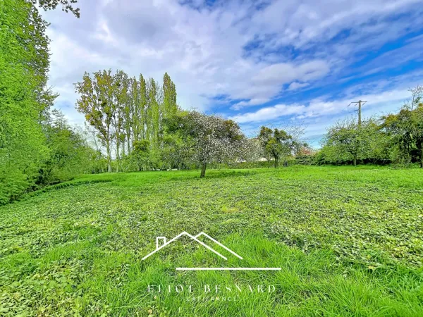 Terrain 7067 m²