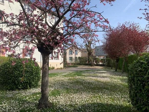 Collocation Villiers sur Marne