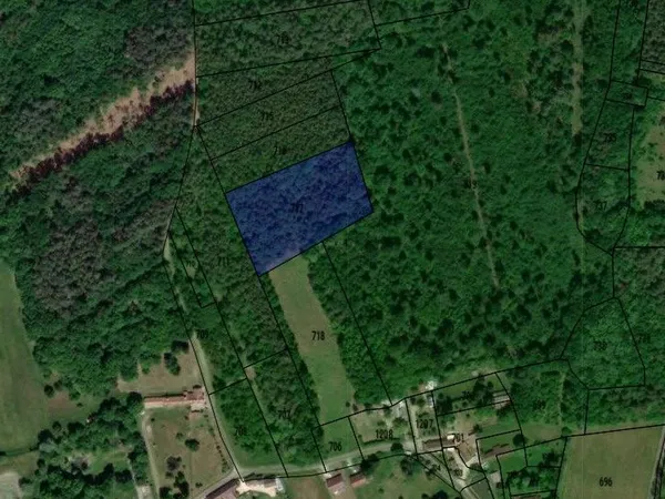 , parcelle de bois en Sologne.