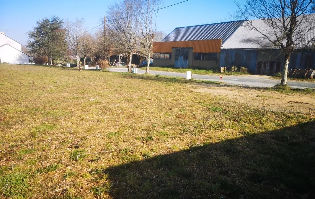 Photo 3