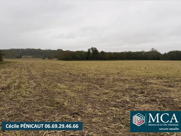 Terrain 772 m²