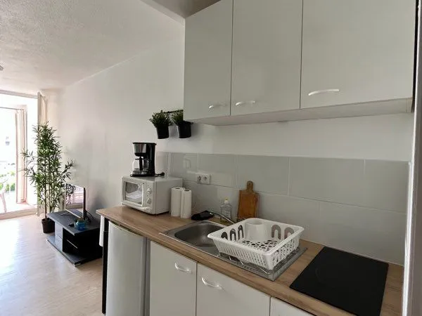 Appartement T1+