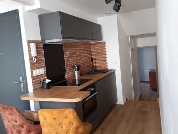 Appartement T2 hyper centre entièrement rénové