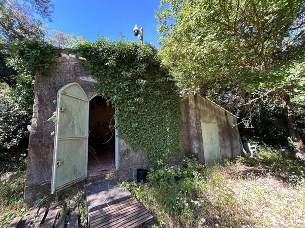 Terrain boisé 17000 m²