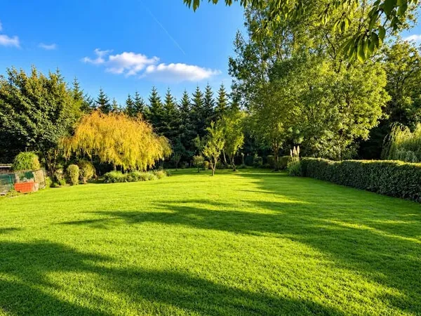 Maison 3 pièces 93 m²