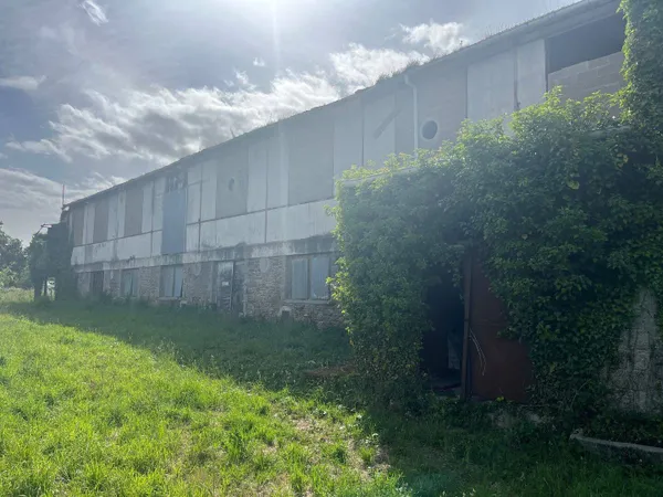 Local 750 m²
