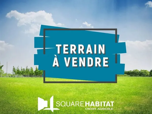 TERRAIN COMMER