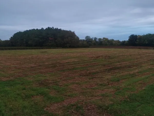 Terrain Agricole ou autre