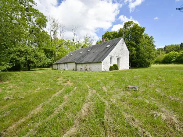 Immeuble 10 pièces 230 m²
