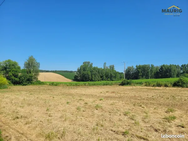 Terrain 1210 m² Seyches