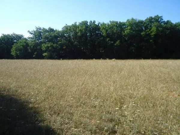 Terrain 700 m²