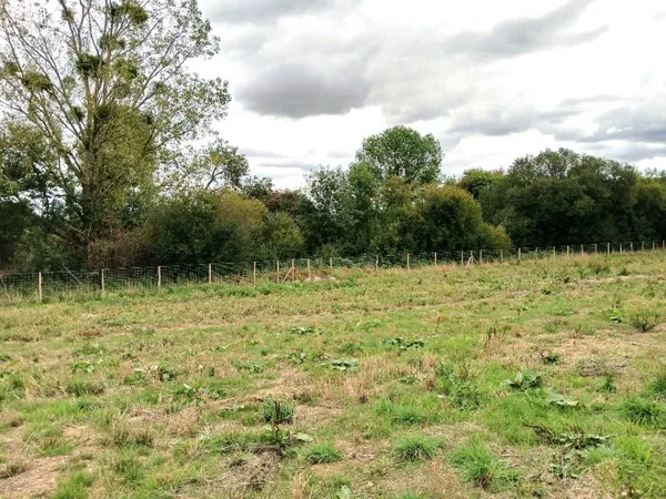 Terrain 421 m²