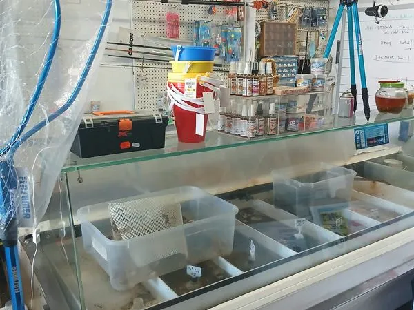 Fond de commerce