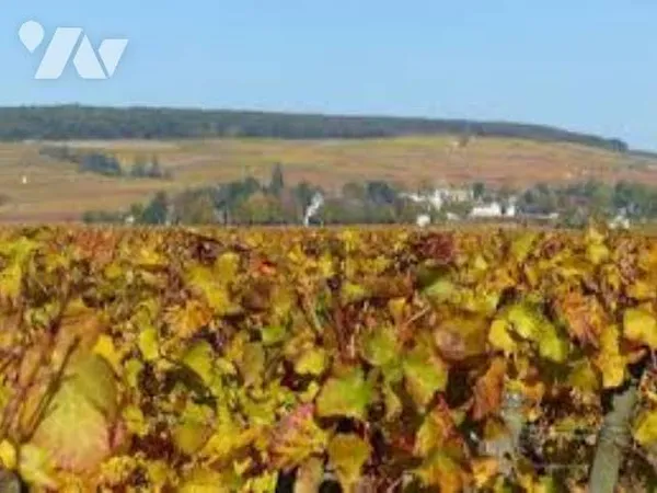 Bien agricole 2488 m²