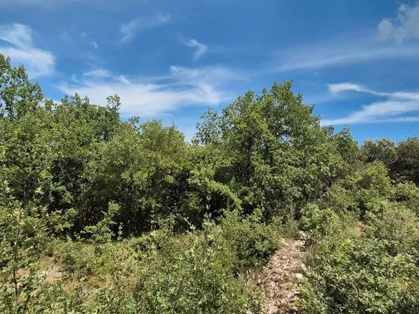 Lot de 2 terrains boisés