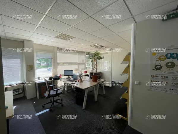 Bureaux 295 m²