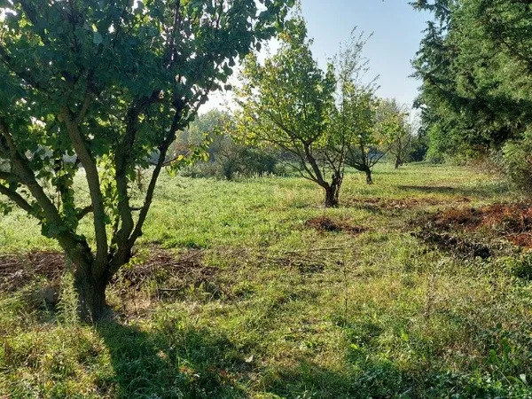 Terrain 467 m²