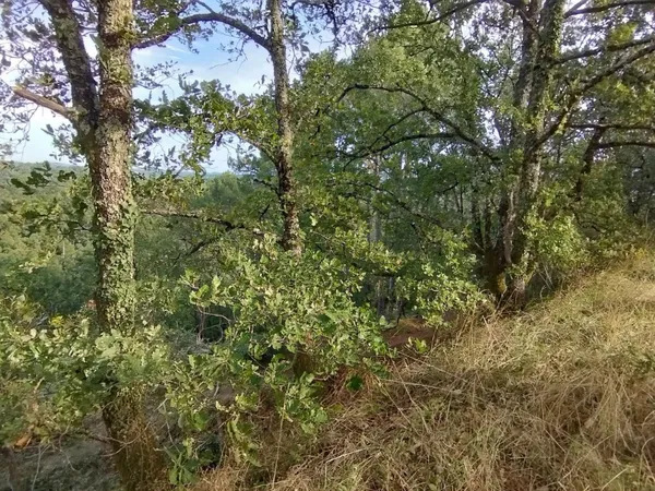 Terrain 1730 m²