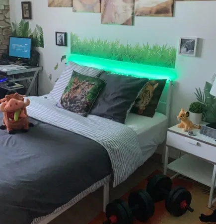 Chambre à louer