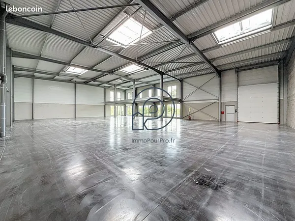 Local 246 m² Avelin